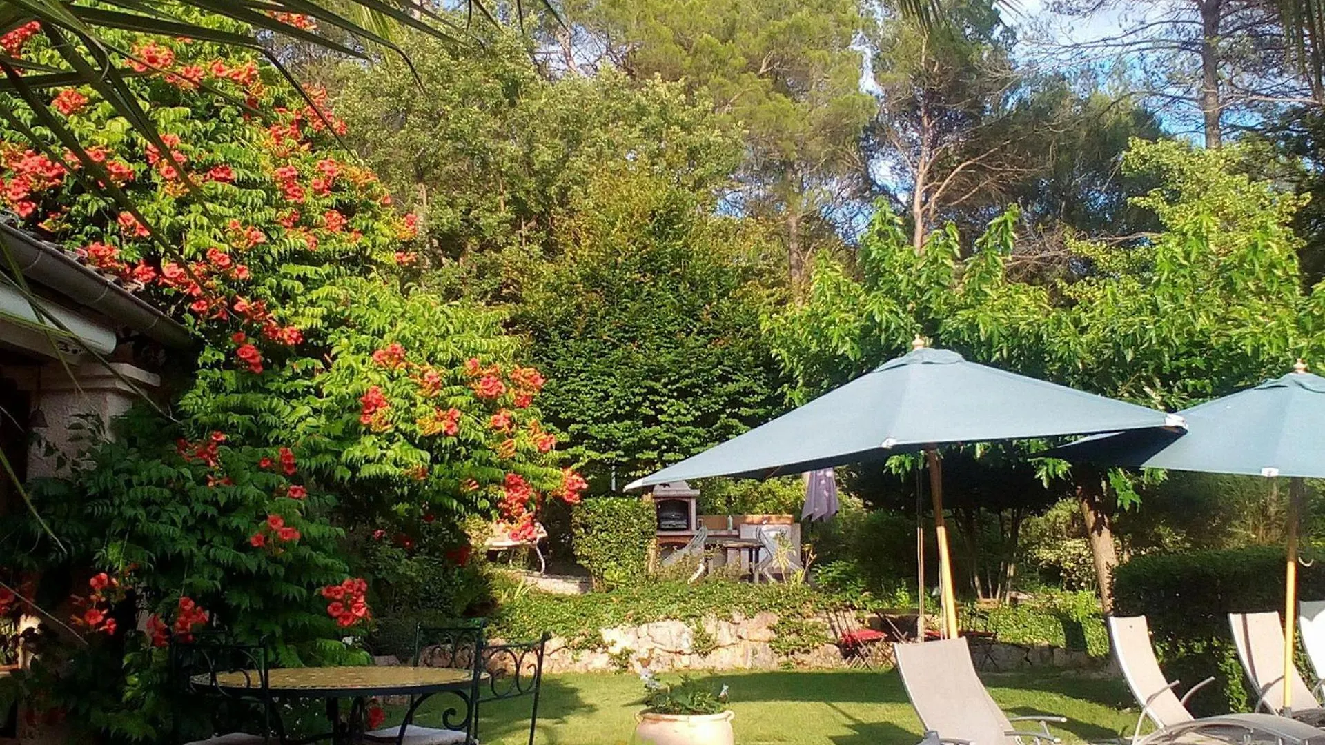 Le Bois Des Combes La Bignone Bed and Breakfast Lorgues Γαλλία